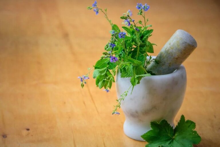 Discover the Healing Power Top Siddha Herbs & Natural Ingredients Used in Treatments