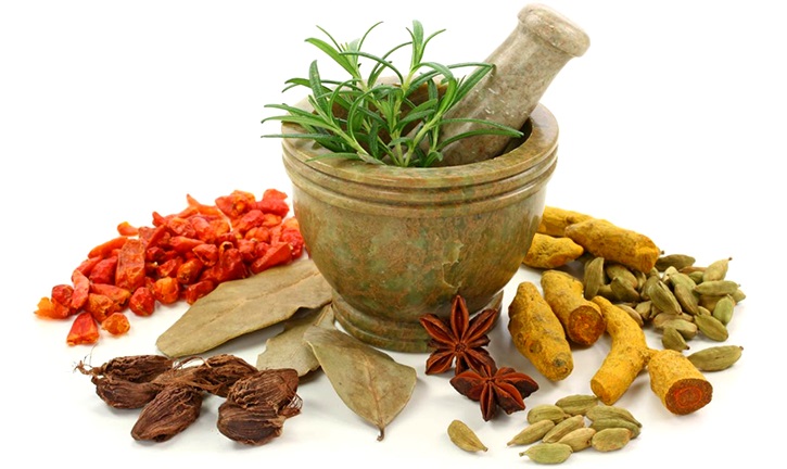 Exploring Siddha Medicine: A Comprehensive Introduction to Its History and Origin in Tamil Nadu